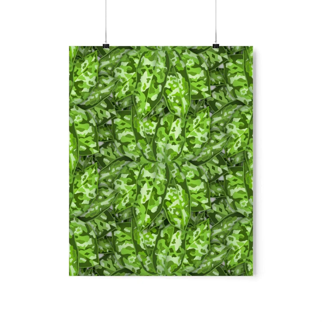 Aglaonema Pictum Tricolor Print, Poster, Laura Christine Photography & Design, Back to School, Home & Living, Indoor, Matte, Paper, Posters, Valentine's Day promotion, Laura Christine Photography & Design, laurachristinedesign.com