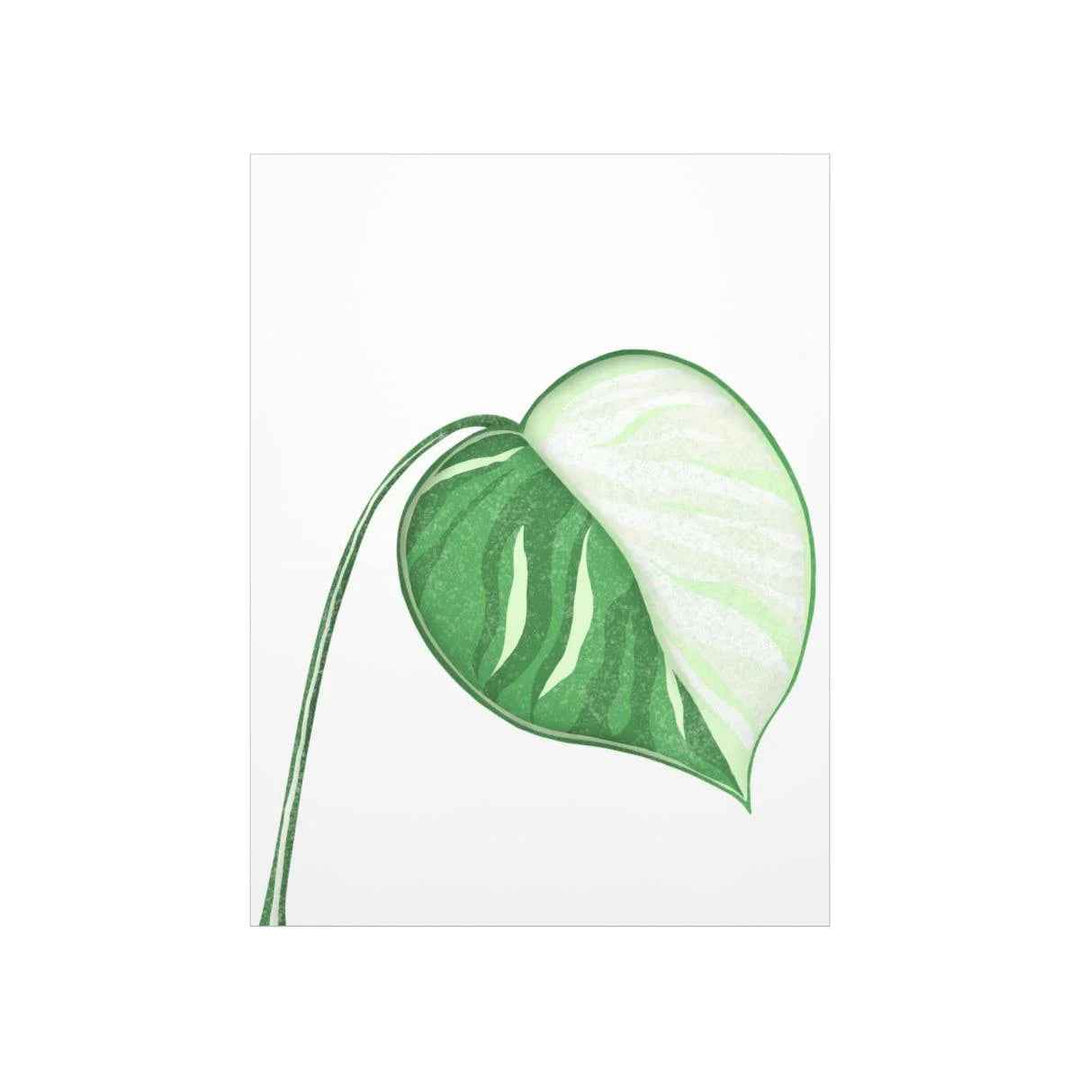 Monstera Albo Print – Large Tropical Leaf Poster | Museum Grade Paper Artwork Unframed