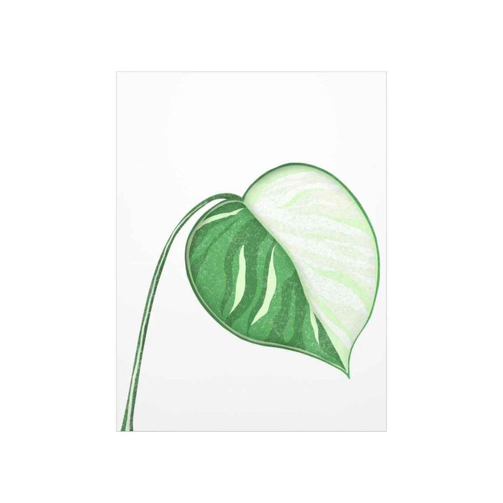 Monstera Albo Print – Large Tropical Leaf Poster | Museum Grade Paper Artwork Unframed