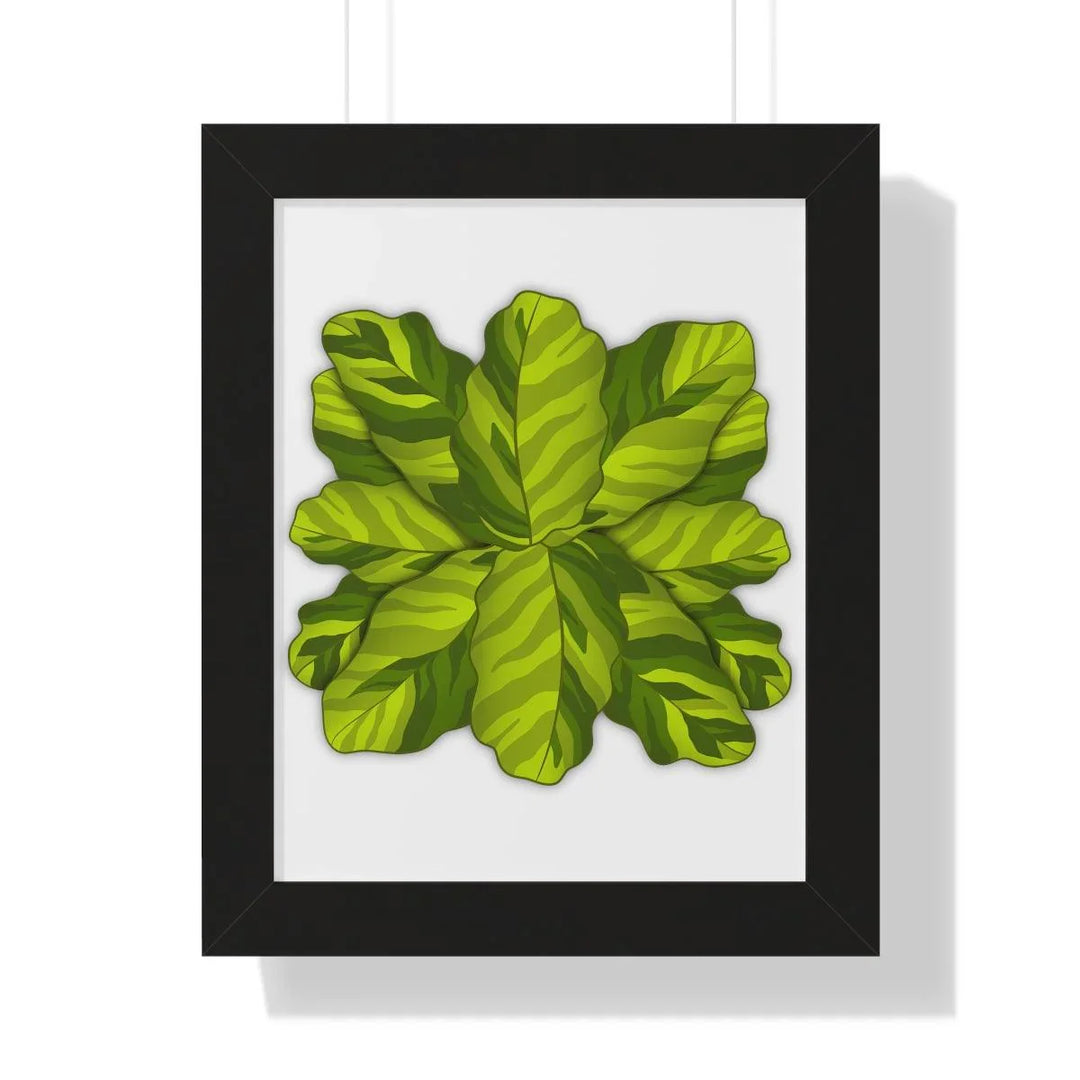 Calathea Yellow Fusion Framed Print, Poster, Laura Christine Photography & Design, Bottle, Calathea, Canvas Bag, Coffee, Drinkware, Framed, Home & Living, Indoor, Paper, Posters, Prayer Plant, Reusable, Shopping Bag, Tea, Tote Bag, Travel, Tumbler, Water, Yellow Fusion, Laura Christine Photography & Design, laurachristinedesign.com