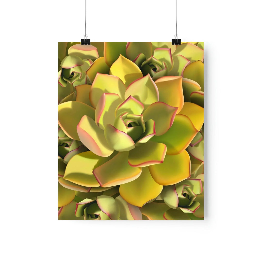 Noble Aeonium Succulent Pattern Print, Poster, Printify, Back to School, Home & Living, Indoor, Matte, Paper, Posters, Valentine's Day promotion, Laura Christine Photography & Design, laurachristinedesign.com