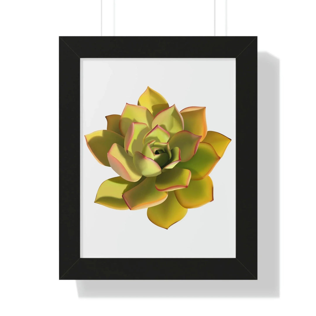 Noble Aeonium Succulent Framed Print, Poster, Printify, Framed, Home & Living, Indoor, Paper, Posters, Laura Christine Photography & Design, laurachristinedesign.com
