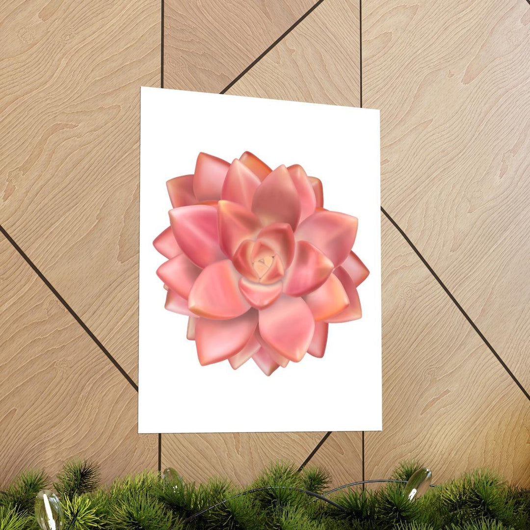 Graptosedum 'California Sunset'  Succulent Print, Poster, Laura Christine Photography & Design, Back to School, Home & Living, Indoor, Matte, Paper, Posters, Valentine's Day promotion, Laura Christine Photography & Design, laurachristinedesign.com