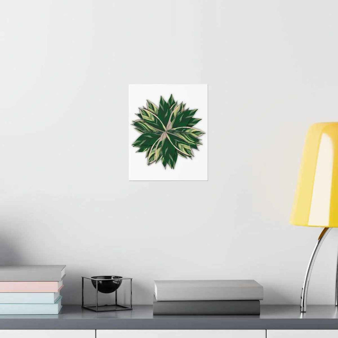 Stromanthe Triostar Print – Tropical Wall Art | Botanical Poster on Museum Grade Paper Unframed - The Potted Pixel