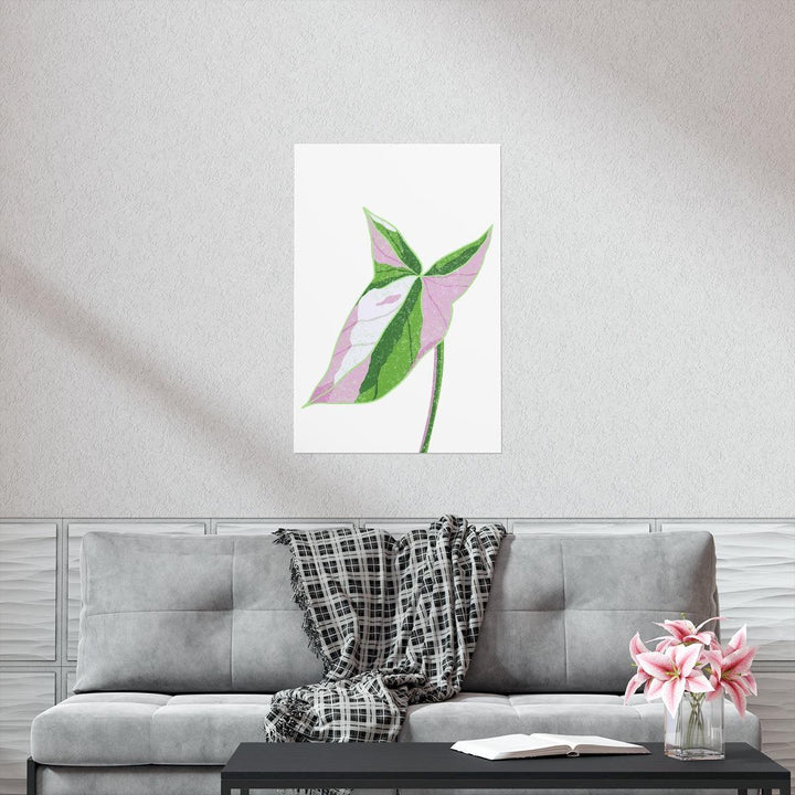 Syngonium Tricolor Print – Botanical Wall Art | Variegated Leaf Poster Unframed - The Potted Pixel