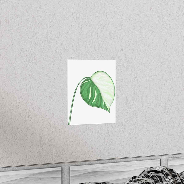 Monstera Albo Print – Large Tropical Leaf Poster | Museum Grade Paper Artwork Unframed