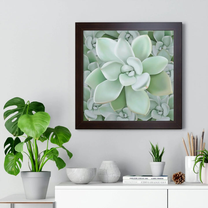 Pachyveria Haagei Succulent Pattern Framed Print, Poster, Printify, Framed, Home & Living, Indoor, Paper, Posters, Laura Christine Photography & Design, laurachristinedesign.com