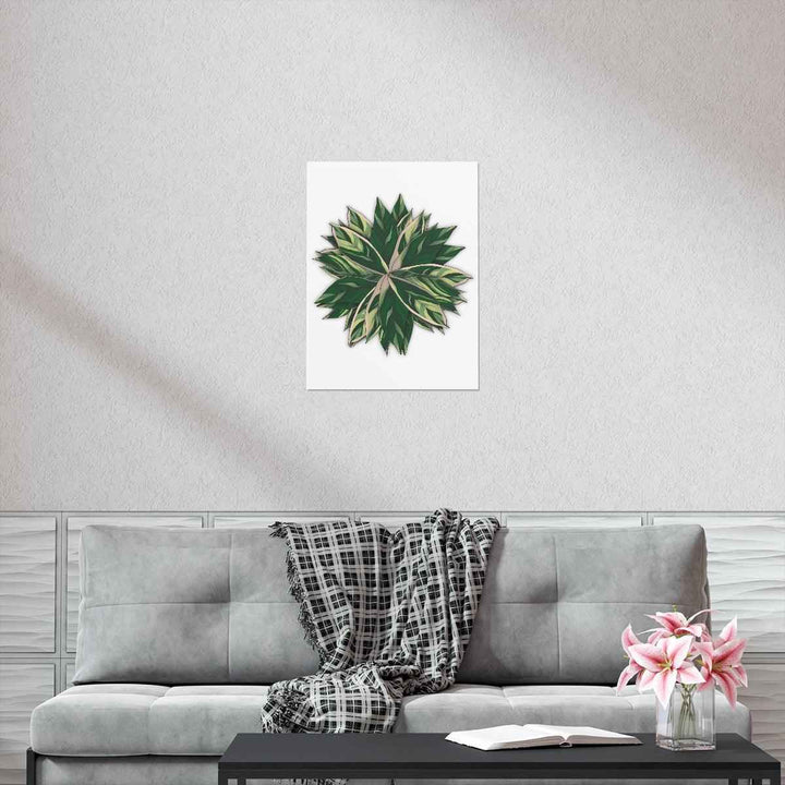 Stromanthe Triostar Print – Tropical Wall Art | Botanical Poster on Museum Grade Paper Unframed - The Potted Pixel
