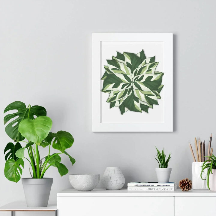 Calathea White Fusion Framed Print, Poster, Laura Christine Photography & Design, Bottle, Calathea, Canvas Bag, Coffee, Drinkware, Framed, Home & Living, Indoor, Paper, Posters, Prayer Plant, Reusable, Shopping Bag, Tea, Tote Bag, Travel, Tumbler, Water, White Fusion, Laura Christine Photography & Design, laurachristinedesign.com