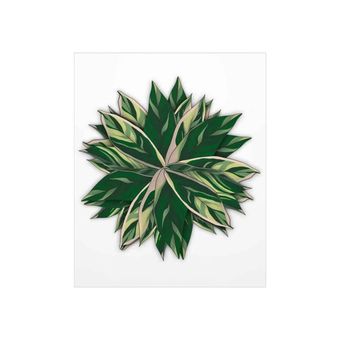Stromanthe Triostar Print – Tropical Wall Art | Botanical Poster on Museum Grade Paper Unframed - The Potted Pixel