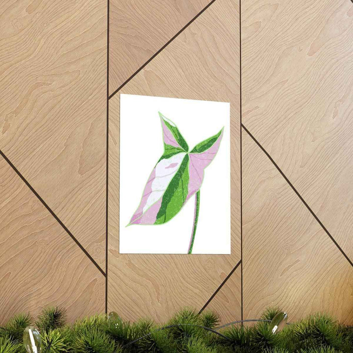 Syngonium Tricolor Print – Botanical Wall Art | Variegated Leaf Poster Unframed - The Potted Pixel