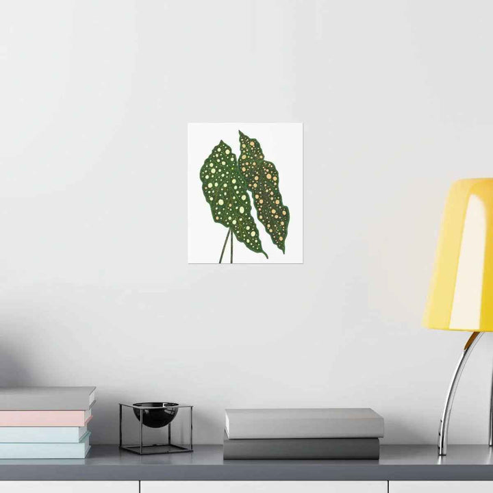 Begonia Maculata Print - Botanical Wall Art on Museum Grade Paper | Matte Finish Unframed - The Potted Pixel