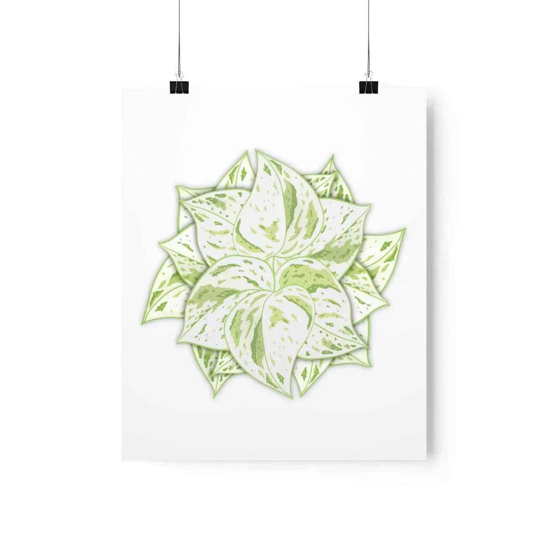 Snow Queen Pothos Print – Variegated Pothos Art on Museum Grade Paper Unframed - The Potted Pixel