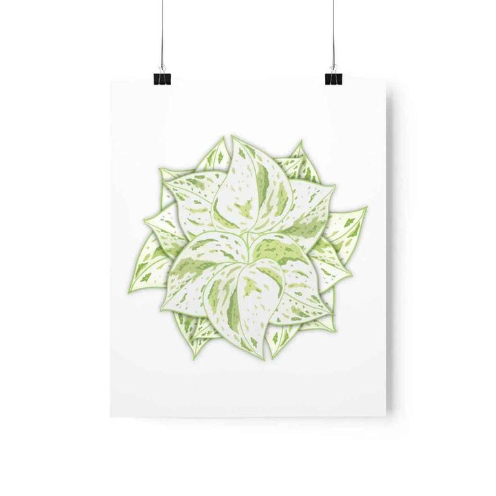 Snow Queen Pothos Print – Variegated Pothos Art on Museum Grade Paper Unframed - The Potted Pixel