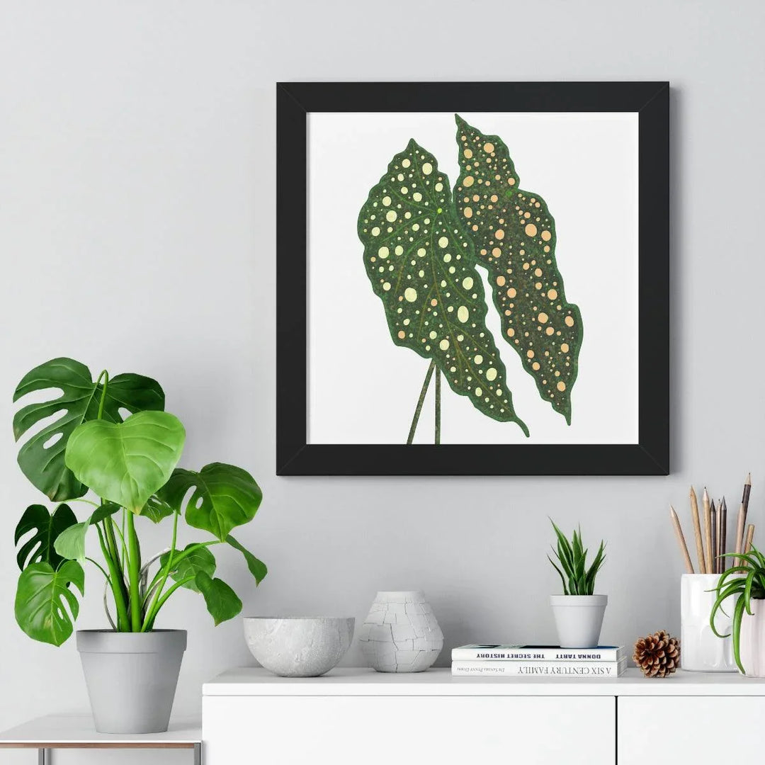 Begonia Maculata Framed Print, Poster, Laura Christine Photography & Design, Framed, Home & Living, Indoor, Paper, Posters, Laura Christine Photography & Design, laurachristinedesign.com