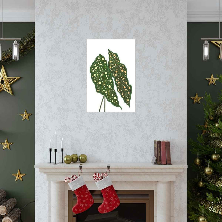 Begonia Maculata Print - Botanical Wall Art on Museum Grade Paper | Matte Finish Unframed - The Potted Pixel