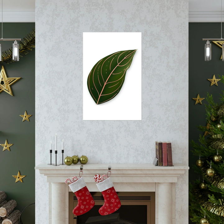 Aglaonema Rotundum Print Botanical Wall Art On Museum Grade Paper Unframed Poster Home Decor