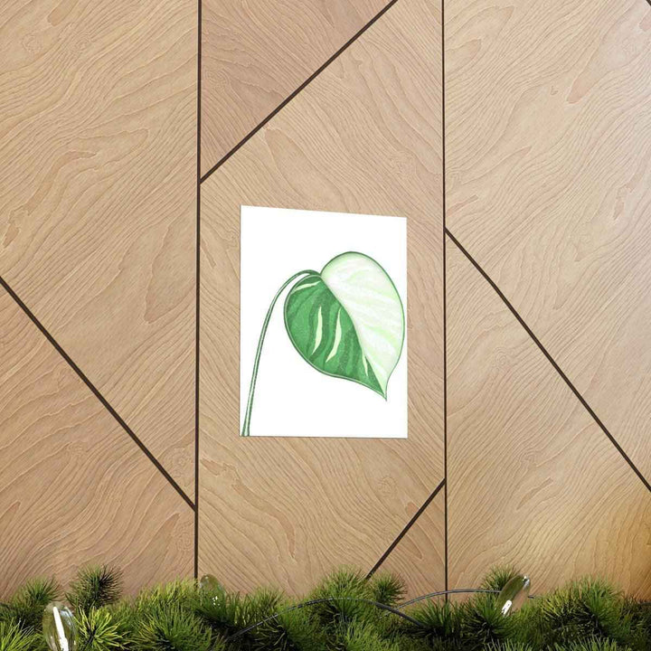 Monstera Albo Print – Large Tropical Leaf Poster | Museum Grade Paper Artwork Unframed