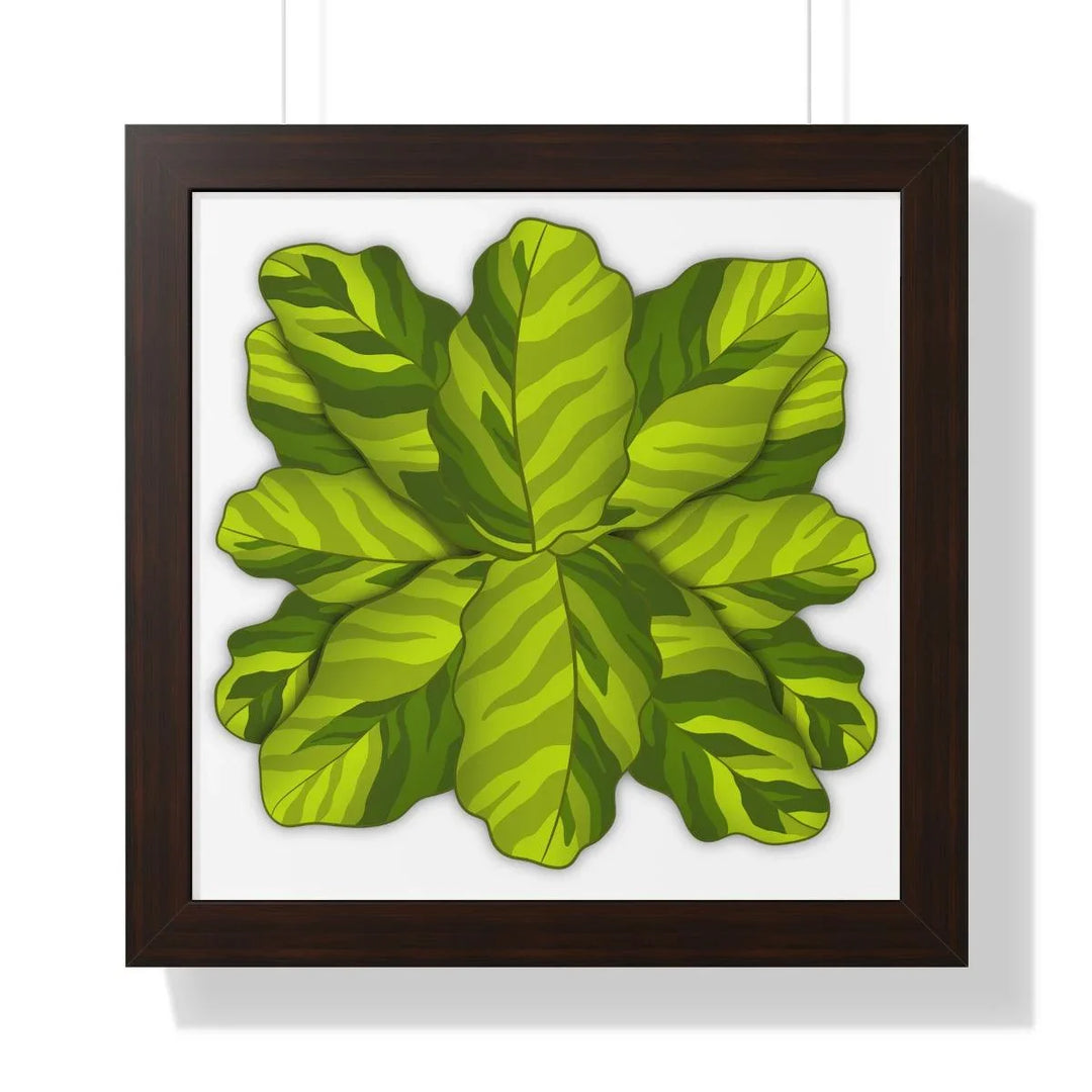 Calathea Yellow Fusion Framed Print, Poster, Laura Christine Photography & Design, Bottle, Calathea, Canvas Bag, Coffee, Drinkware, Framed, Home & Living, Indoor, Paper, Posters, Prayer Plant, Reusable, Shopping Bag, Tea, Tote Bag, Travel, Tumbler, Water, Yellow Fusion, Laura Christine Photography & Design, laurachristinedesign.com