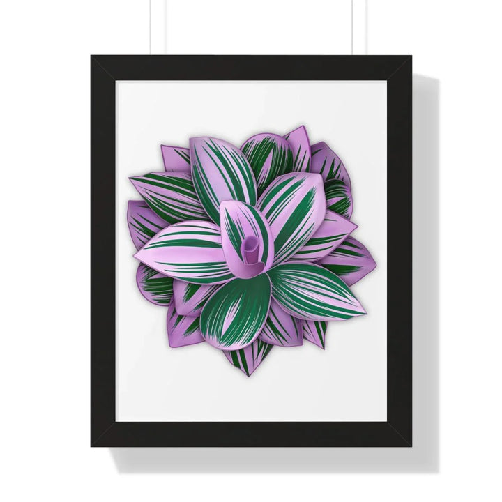 Tradescantia Nanouk Framed Print, Poster, Laura Christine Photography & Design, Framed, Home & Living, Indoor, Paper, Posters, Laura Christine Photography & Design, laurachristinedesign.com