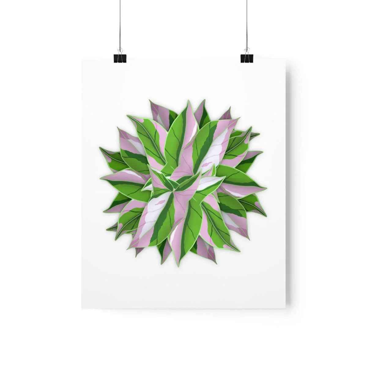 Tricolor Syngonium Print - Botanical Poster on Museum Grade Paper | Archival Ink Unframed - The Potted Pixel