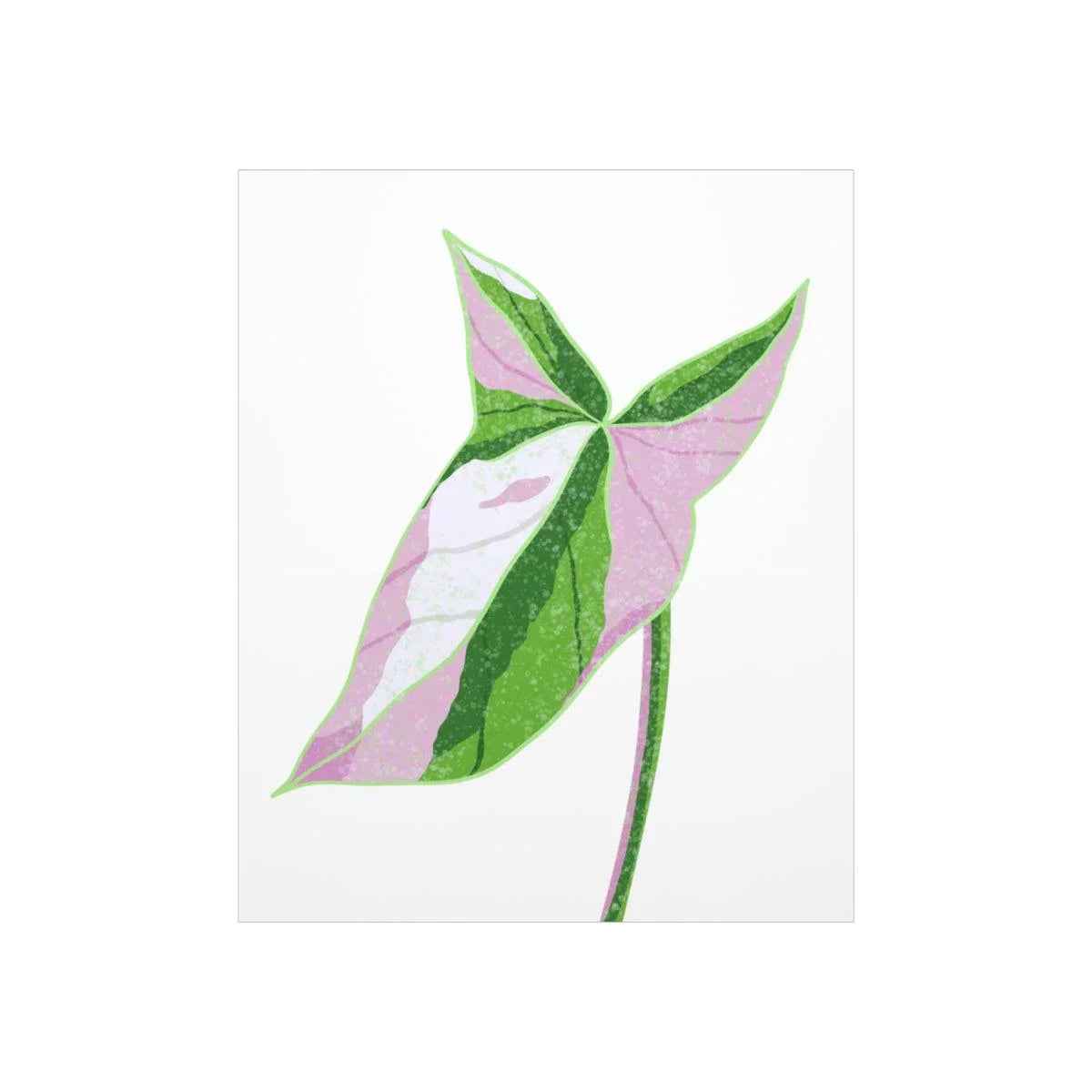 Syngonium Tricolor Print – Botanical Wall Art | Variegated Leaf Poster Unframed - The Potted Pixel