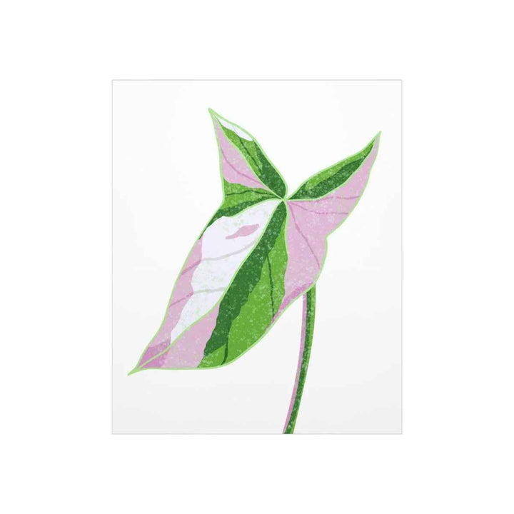 Syngonium Tricolor Print – Botanical Wall Art | Variegated Leaf Poster Unframed - The Potted Pixel