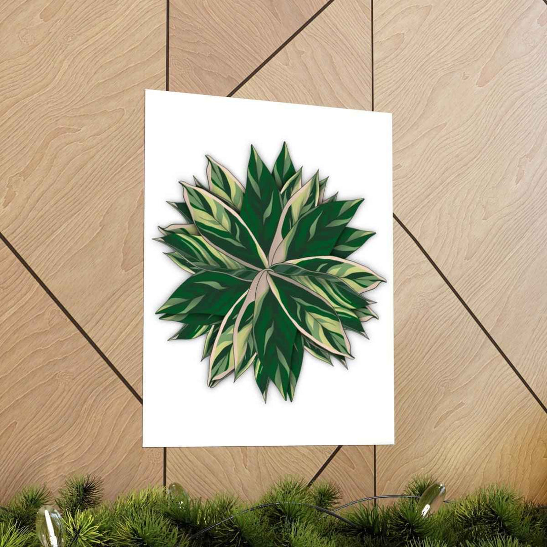 Stromanthe Triostar Print – Tropical Wall Art | Botanical Poster on Museum Grade Paper Unframed - The Potted Pixel