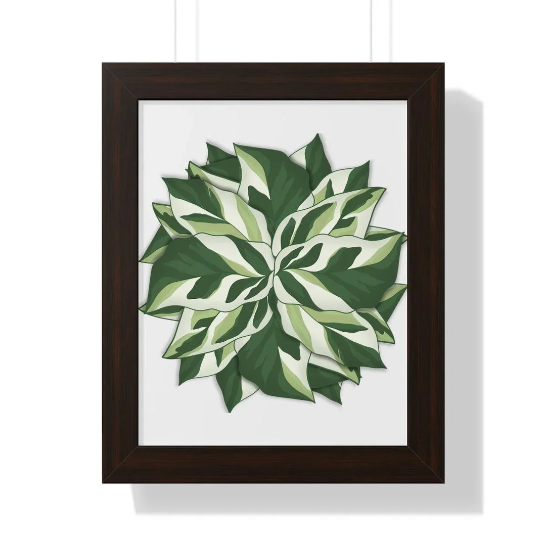 Calathea White Fusion Framed Print, Poster, Laura Christine Photography & Design, Bottle, Calathea, Canvas Bag, Coffee, Drinkware, Framed, Home & Living, Indoor, Paper, Posters, Prayer Plant, Reusable, Shopping Bag, Tea, Tote Bag, Travel, Tumbler, Water, White Fusion, Laura Christine Photography & Design, laurachristinedesign.com