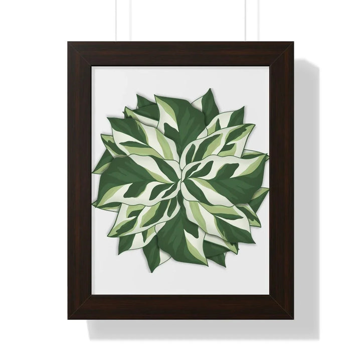 Calathea White Fusion Framed Print, Poster, Laura Christine Photography & Design, Bottle, Calathea, Canvas Bag, Coffee, Drinkware, Framed, Home & Living, Indoor, Paper, Posters, Prayer Plant, Reusable, Shopping Bag, Tea, Tote Bag, Travel, Tumbler, Water, White Fusion, Laura Christine Photography & Design, laurachristinedesign.com