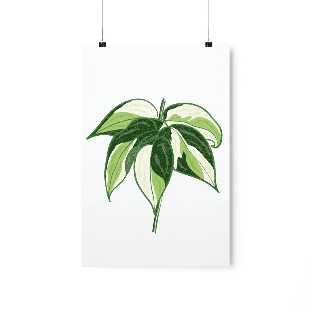 Philodendron 'Cream Splash' Print, Poster, Printify, Back to School, Home & Living, Indoor, Matte, Paper, Posters, Valentine's Day promotion, Laura Christine Photography & Design, laurachristinedesign.com