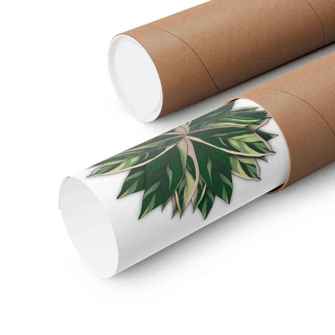 Stromanthe Triostar Print – Tropical Wall Art | Botanical Poster on Museum Grade Paper Unframed - The Potted Pixel