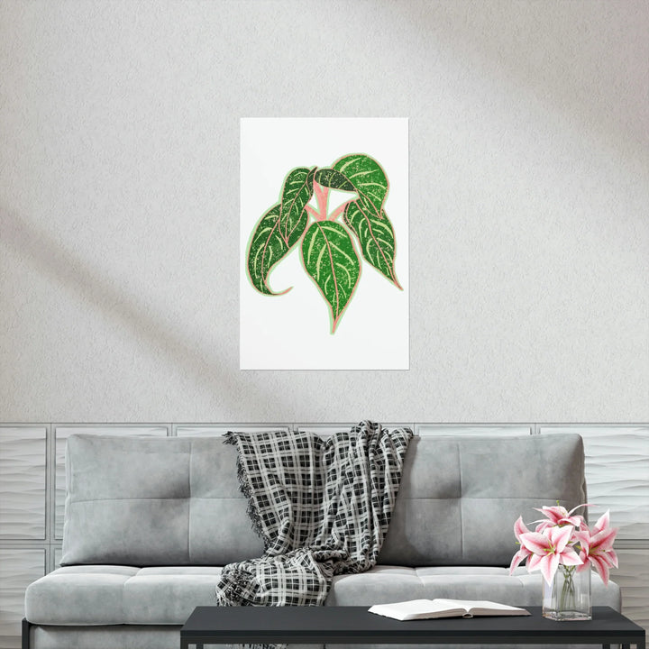 Aglaonema Art Print Sparkling Sarah Botanical Wall Art On Museum Grade Paper Unframed