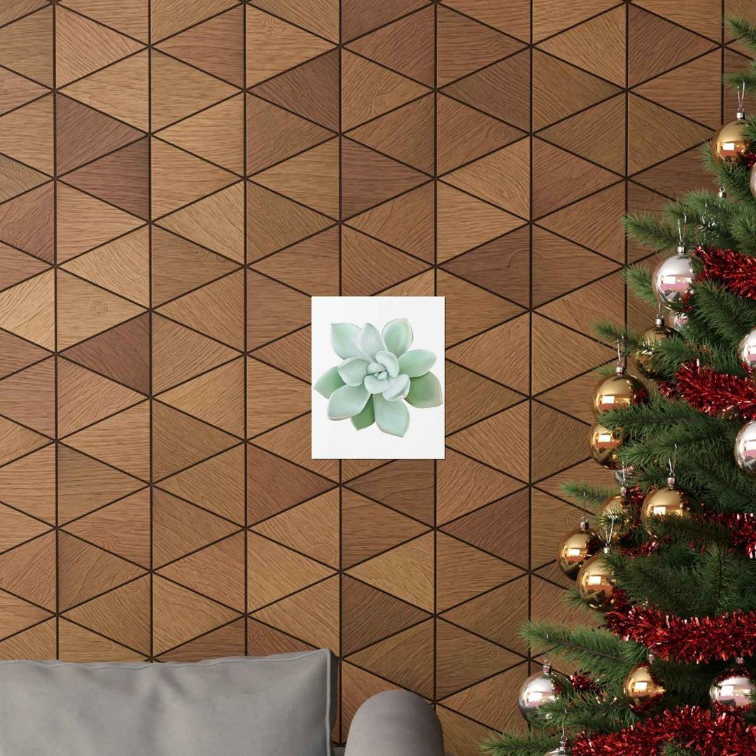 POS Pachyveria Print