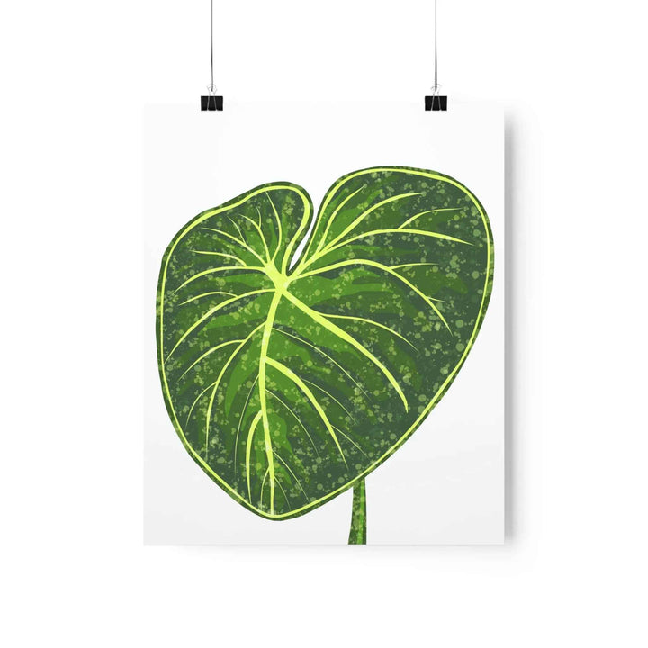 Philodendron Gloriosum Print Botanical Wall Art – Tropical Leaf Poster on Museum-Grade Paper - The Potted Pixel